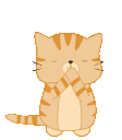 cat.gif