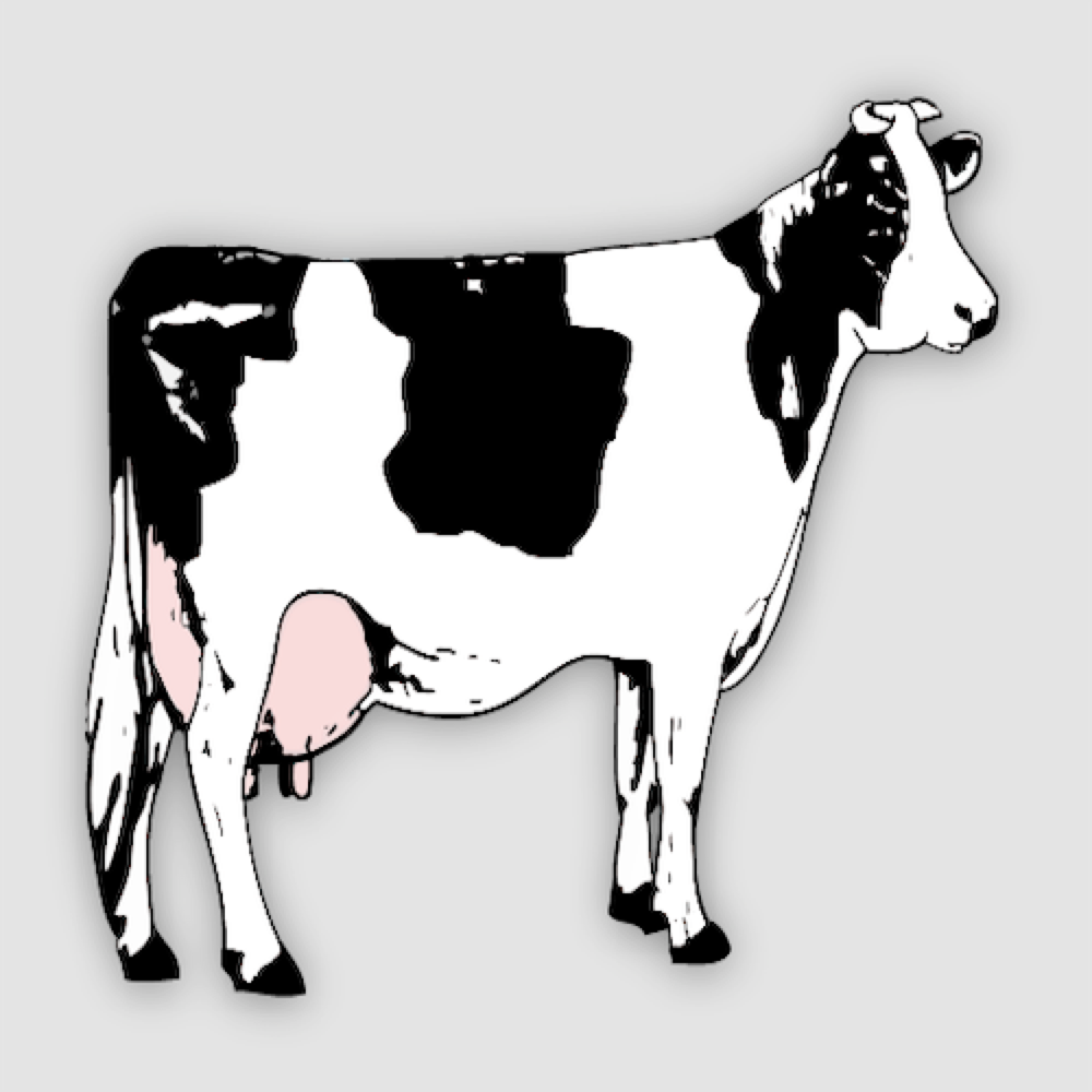 Data/Images/IMAGES/cow.png