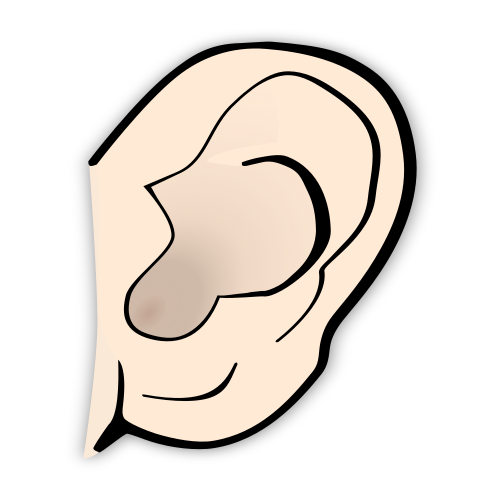 Data/Images/IMAGES/ear.png