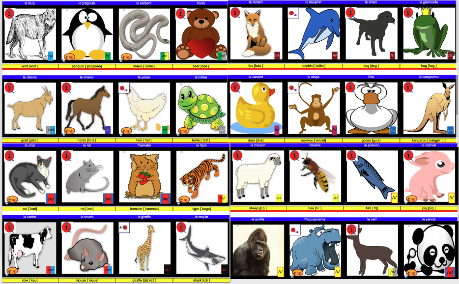image_tous_les_animaux.png